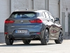BMW X2 bag alt.jpg