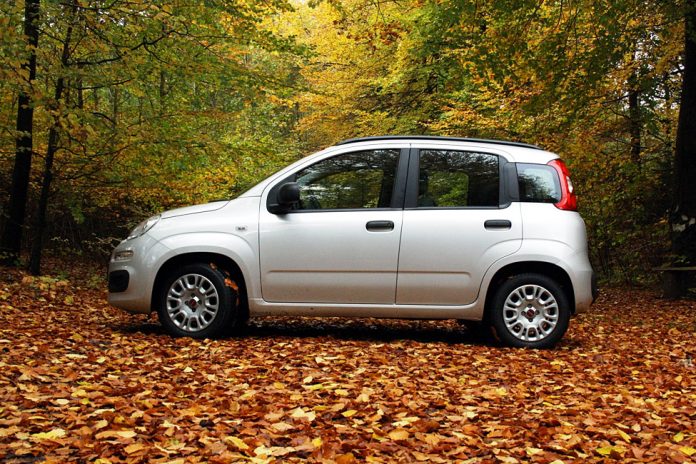 fiat_panda