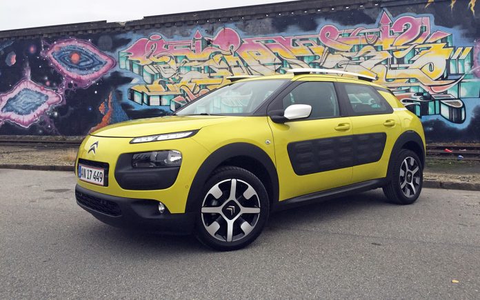 C4 Cactus