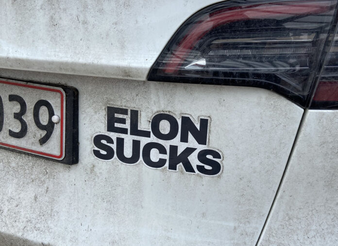 Elon sucks