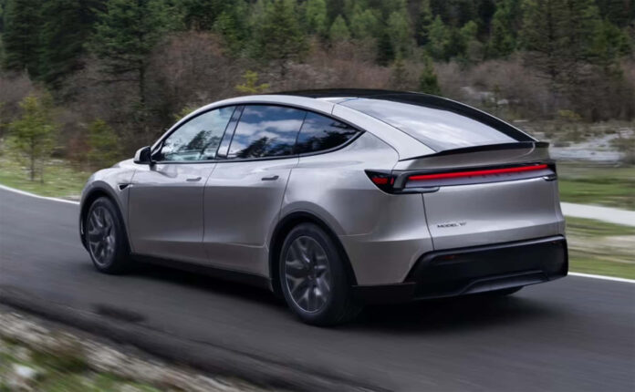 Tesla Model Y L bag Tesla Model Y